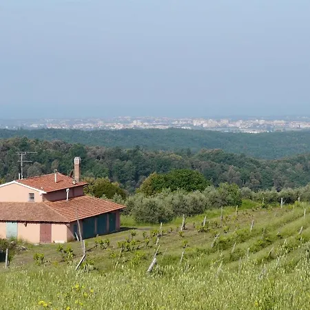 Podere Guardistallo * Montescudaio