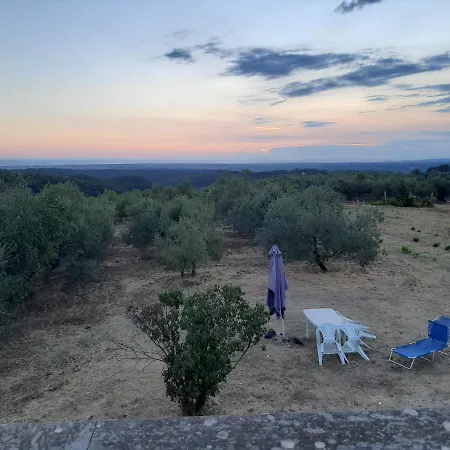 Holiday home Podere Guardistallo *